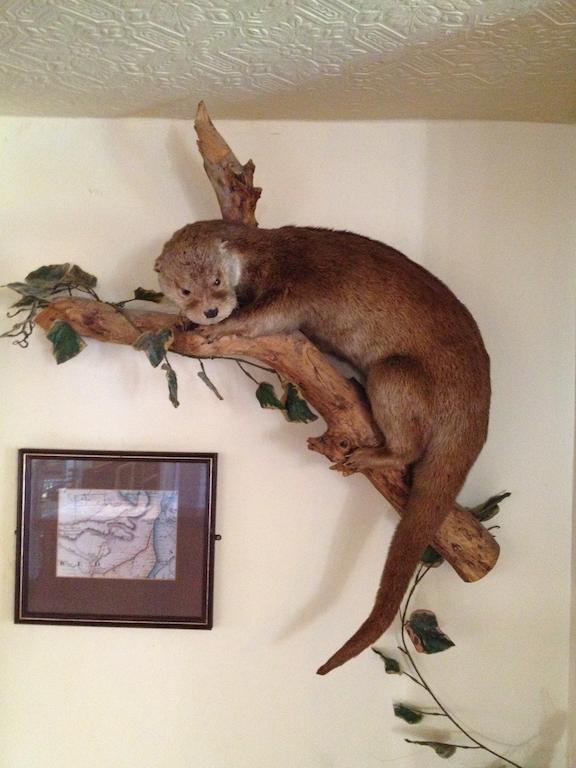 Stretham The Lazy Otter B&B 외부 사진